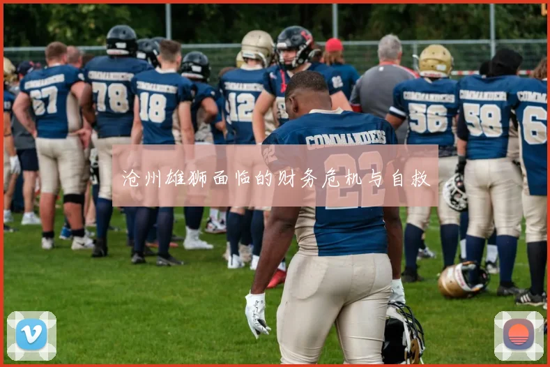 沧州雄狮面临的财务危机与自救