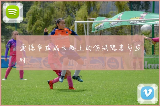 爱德华兹成长路上的伤病隐患与应对
