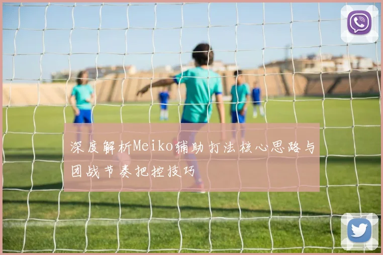 深度解析Meiko辅助打法核心思路与团战节奏把控技巧